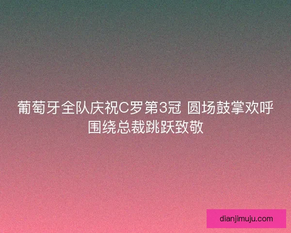 葡萄牙全队庆祝C罗第3冠 圆场鼓掌欢呼围绕总裁跳跃致敬
