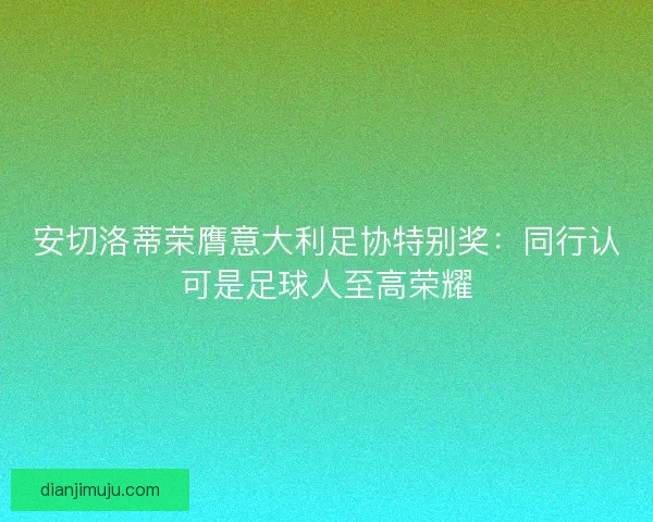 安切洛蒂荣膺意大利足协特别奖：同行认可是足球人至高荣耀