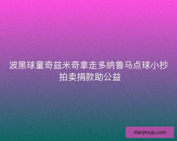 波黑球童奇兹米奇拿走多纳鲁马点球小抄 拍卖捐款助公益