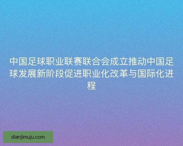 中国足球职业联赛联合会成立推动中国足球发展新阶段促进职业化改革与国际化进程